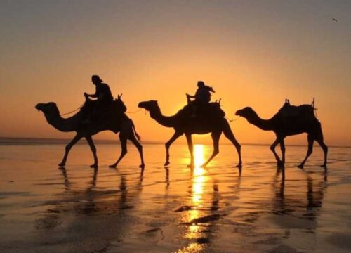 Camel ride in Agadir​