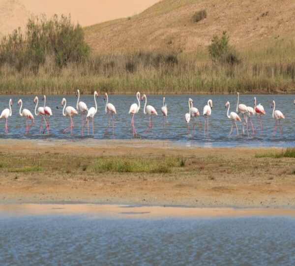 agadir