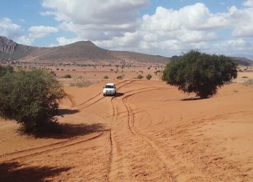 Sand dunes trip from Agadir​