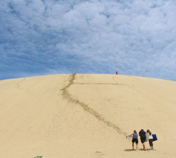 sandboarding